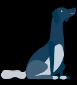 3. Erhalte nützliches Wissen und Produktempfehlungen, maßgeschneidert auf deinen Hund.