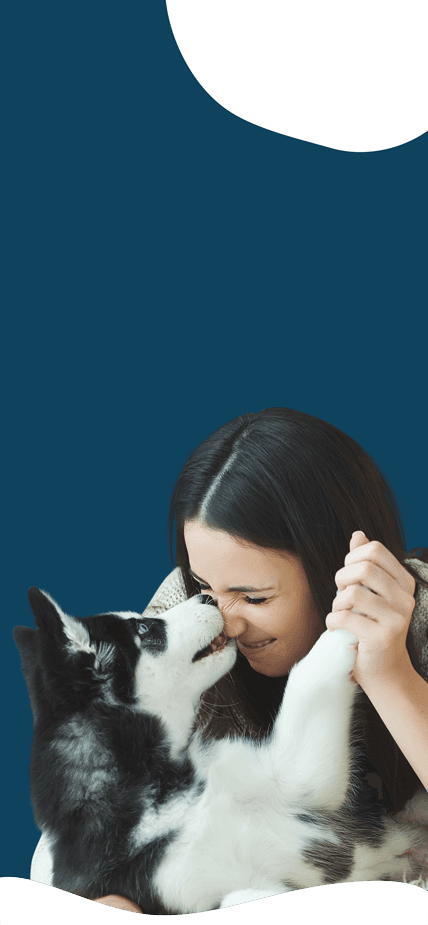 Persönliche und individuelle Beratung in Kombination mit tollen Produkten für deinen Hund